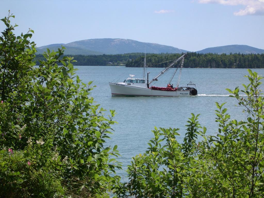 Narrows Too Camping Resort Cabin 1 Трентон Экстерьер фото